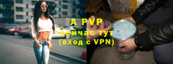 круглые Абаза