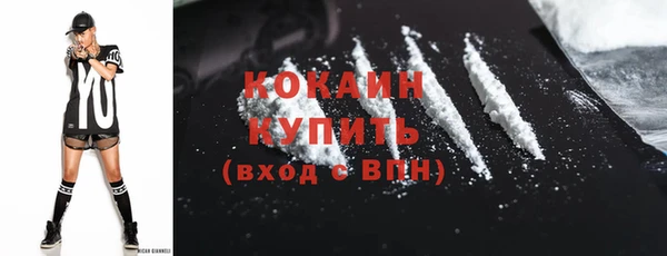 дживик Абинск