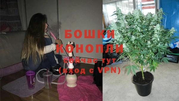 ПСИЛОЦИБИНОВЫЕ ГРИБЫ Абдулино