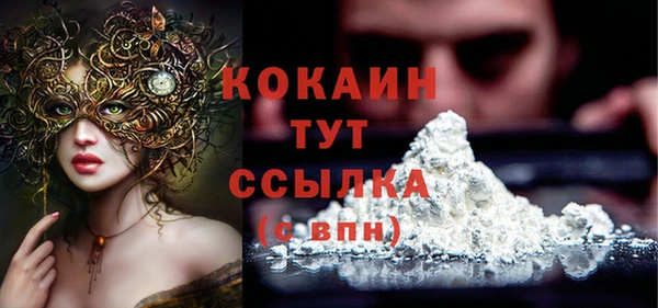 дживик Абинск