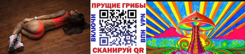 Псилоцибиновые грибы мицелий нарко площадка какой сайт Таганрог